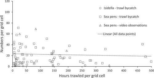 Figure 9. Relationship between trawling intensity (hours per grid cell) and total numbers of sea pens and Isidella sampled as trawl bycatch from the IMR shrimp survey from 2017–2021, and sea pens recorded on the OCEANA ROV stations in 2016 and 2017. Recorded colonies are provided as number per grid cell where trawl activity was also recorded (see Figure 8). The dotted trend line shows the relation between recorded number of colonies and fishing intensity.