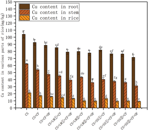 Figure 4. The content of Cu in rice roots, stems and rice after the application of amendments. Different letters indicated that there were significant differences in the application of amendments (p < 0.05) (single factor analysis of variance (ANOVA)).