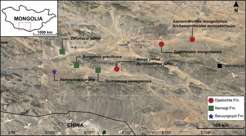 FIGURE 1. Distribution of troodontids in the Nemegt Basin. The map is based on the image of Google Earth.