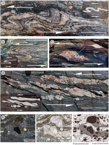 Figure 7. Kinematic indicators in rocks from the Cape River Metamorphics showing a dominant sinistral sense of shear. (a, b) Field photos of asymmetric folds. (c, d) Field photos showing sigmoids in sheared migmatite. (e) Photomicrographs (plane and cross-polarised) and interpretation of mylonite with microfolds, δ- and σ-type porphyroclasts. The complex microstructural patterns may have resulted from superposition of early sinistral shearing and a later stage of general dextral shear. Abbreviations: Qtz, quartz; Ep, epidote; Chl, chlorite; Bt, biotite.