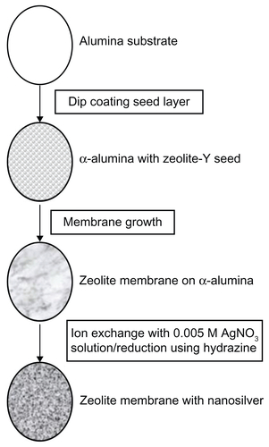 Figure S1 Schematic of fabrication of zeolite support containing silver nanoparticles. Alumina supports were used as the substrate for zeolite membrane synthesis. Zeolite was grown into a continuous membrane by hydrothermal synthesis. Zeolite membranes were then ion-exchanged with 0.005 M AgNOCitation3 solution, washed, and then reduced by hydrazine.