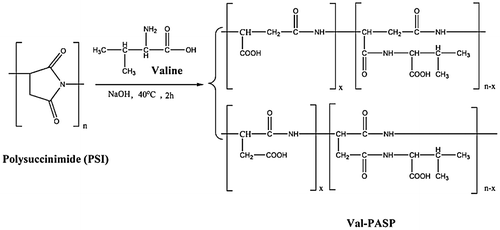 Figure 1. Synthesis route of valine of polyaspartic acid (Val-PASP).