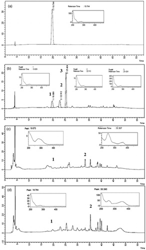 Figure 1. Chromatogram and absorption spectrum of RS catechin and F1, F2 and F3 active fractions in 1000 μg/mL. (a) RS catechin. Retention time: 19.744. (b) F1 active fraction (major peaks 1, 2 and 3) with retention time of peak catechin: 19.699. (c) F2 active fraction (major peaks 1 and 2) with retention time of peak catechin: 19.073. (d) F3 active fraction (major peaks 1 and 2) with retention time of peak catechin: 19.764. Analyzed by high performance liquid chromatography coupled to photodiode array detector (PDA). Wavelength: 280 nm. Ultra C18 pre-column 4.6 mm; 5 μ C18 100A column (250 × 4.6 mm). Mobile phase 0.05% phosphoric acid (solution A) and acetonitrile (solution B). Flow rate: 0.7 mL/min. Injection volume: 20 μL.