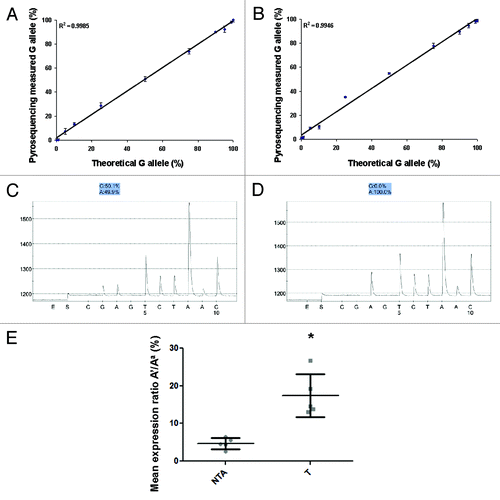 Figure 1. (A and B) Detectable range (sensitivity) of Pyrosequencing for Imprinted Expression (PIE). PIE precisely reflected the theoretical ratio of the 2 alleles for both mouse (A) and human (B) IGF2. The trendline showed perfect linearity (R2 > 0.99) for both assays, and 1% changes were able to be detected. The graphs were generated from 3 independent experiments and the data shown as Mean ± SD. (C and D) Accuracy (specificity) of PIE. Pyrosequencing measured equal amounts of both alleles in genomic DNA from heterozygous mice (C), but only demonstrated expression from one allele using mRNA (D) when the intron-crossing primers were used. (E) PIE demonstrates LOI at IGF2 in prostate tissues associated with prostate cancer. Five normal prostates (NTA) with no evidence of inflammation or cancer and 5 prostate tumor tissues (T) were analyzed. Prostate tumor showed significantly LOI of IGF2 compared with NTA tissue. Data are shown as mean ± SD, * t-test p < 0.05.