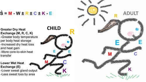 Figure 2. Mechanisms of heat exchange in children. The ability to maintain heat balance (S) relies on an individual’s metabolic storage (M), their external work rate (W), radiative (R), convective (C), conductive (K), and evaporative (E) heat exchange. Children’s (supposedly) decreased heat storage capacity compared to adults means they are more reliant on so-called “dry” mechanisms of heat exchange (conduction, convection) to maintain heat balance.