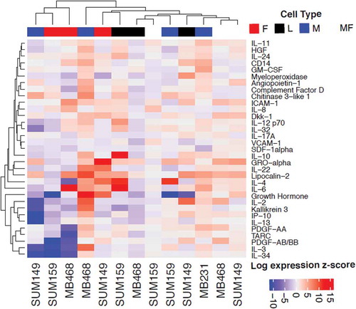 Figure 3. Heatmaps of secreted factors. Log fold change of protein expression of the top ten secreted factors in the differential analysis for any cell type. Columns labeled by cell line and colored by cell type. F: fibroblast, L: LEC, M: MEC, and MF: macrophage.