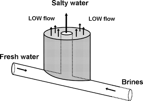 Fig. 3 Schematic representation of flow through a dual-porosity system. Mixed water flow: fast turbulent flow through well-developed fractured systems, and slow flow through porous areas.