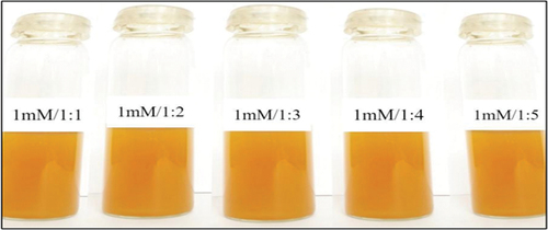Plate 7. Reaction mixtures with 1mM reagent concentration and five different extractvolumes before placing them for incubation at 60°C for 4h.