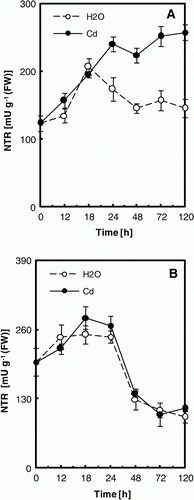 Figure 1.  NTR activity in cotyledons (A) and embryonic axes (B) of P. sativum seeds during germination after imbibition with H2O or 5 mM Cd. Data are the mean of six independent measurements±SE. Each measurement was performed in an extract obtained from several germinating seeds.