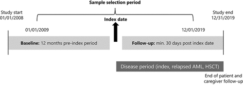 Figure 1. Study design. AML, acute myeloid leukemia; HSCT, hematopoietic stem cell transplant.