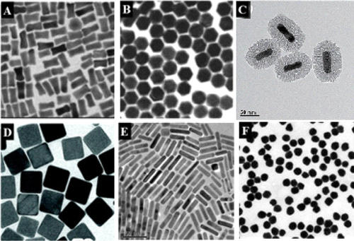 Figure 1. Various kinds of gold nanoparticles. (a) Gold nanobones. (b) Gold nanohoneycombs. Reprinted with permission from [Citation130]. Copyright 2004 American Chemical Society. (c) Mesoporous silica-coated gold nanorods (Au@SiO2). Reprinted with permission from [Citation10]. Copyright 2012 WILEY-VCH Verlag GmbH & Co. KGaA, Weinheim. (d) Gold nanocages. Reprinted with permission from [Citation131]. Copyright 2007, rights managed by Nature Publishing Group. (e) Gold nanorods. Reprinted with permission from [Citation79]. Copyright 2010 Elsevier Ltd. All rights reserved. (f) Gold nanospheres. Reprinted with permission from [Citation132]. Copyright 2013 WILEY-VCH Verlag GmbH & Co. KGaA Weinheim.