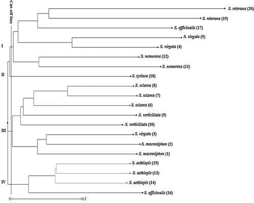 Figure 1. Dendrogram of Salvia accessions based on ISSR data using the neighbour-joining (NJ) method.