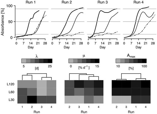 Fig. 14. Biomass accumulation. Top panels: time series of the biofilm absorbance along 30 d of observation in the four performed incubator runs. Bold: L120, Continuous: L60, Dashed: L30. Bottom panels: heatmaps of the growth curve parameters λ, μ, Amax.