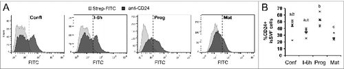 Figure 4. Surface CD24 protein over the course of adipogenesis in primary pre-adipocytes. (A) Surface CD24 protein expression on cells isolated from siSVF was determined by flow cytometry, at select stages of adipogenesis, using the biotinylated anti-CD24 M1/69 antibody. Streptavidin-FITC (Strep-FITC) alone is used as the negative control for staining. One representative experiment is shown. (B) The percent of CD24 + cells from each individual animal (×) and the mean (−) is indicated, n = 4 sets of cells pooled from 2 mice each. Different lower case letters indicate a significant difference at P < 0.05.