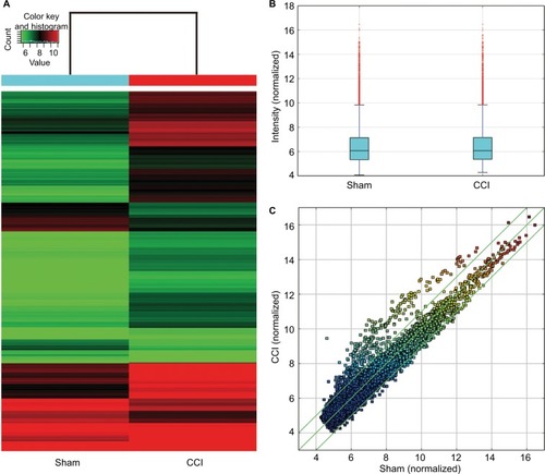 Figure 2 CircRNA expression between the CCI and sham-operated rats.