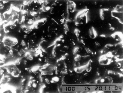 Figure 1. The calcium sulfate particles on nano-bone glue surface (20 kV, × 1000).