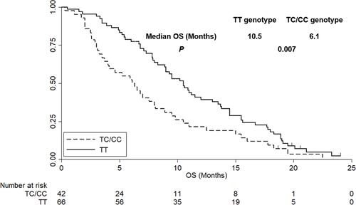 Figure 6 The overall survival of the 108 patients with chemotherapy-refractory metastatic CRC according to KDR rs2071559 genotype status.