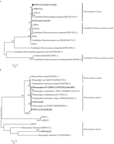 Figure 4. Phylogenetic tree constructed for (a) top20 amoA-AOA OTUs sequences and (b) top20 amoA-AOB OTUs sequences. The numbers (only those >50% were shown) on the branch nodes indicate the percentages of bootstrap support. Numbers in the brackets were the GenBank accession numbers of the strain in the NCBI.