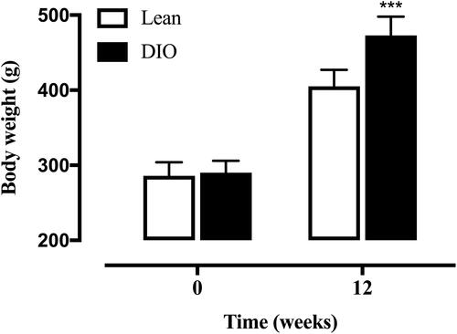 Figure 1 The body weight of SD rats fed either a normal or high-fat diet for 12 weeks. Data are presented as the mean ± SD. ***p < 0.001 vs Lean.