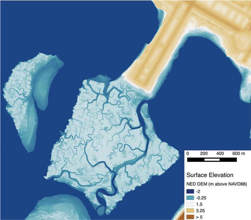 Figure 2. Natural (dendritic) tidal creeks and ditched (perpendicular) channels shown in a digital elevation model of two salt marsh islands of Jamaica Bay. Ditching was commonly used for mosquito control in urban wetlands during the twentieth century, but may unintentionally impact nitrogen regulation by enhancing tidal flushing and/or modifying macroinvertebrate community structure. Land elevation data are from the USA Geological Survey (USGS) 1m National Elevation Dataset https://lta.cr.usgs.gov/NED.