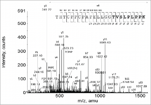 Figure 10. CID MS/MS spectrum of the MH33+ ion species corresponding to the Lys-C peptide HC (218-241) THTCPPCPAPELLGGTVSLPLPPK that spans across the starting site of the -1 frameshift. The altered amino acid sequence by the -1 frameshift is shown in a bold font.