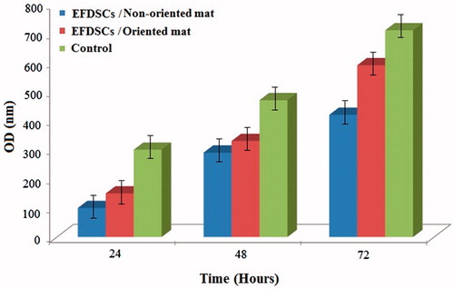 Figure 5. The live/dead assay result for rate of proliferation of EFSCs on nanofibrous mats at 24, 48 and 72 h continuous culture.