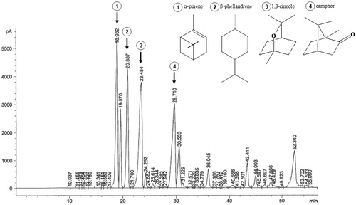 Figure 1. GC Chromatogram of Salvia lavandulifolia essential oil.