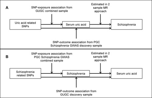 Figure 1 Two-sample bidirectional Mendelian randomization study of the association of serum uric acid (UA) and schizophrenia.