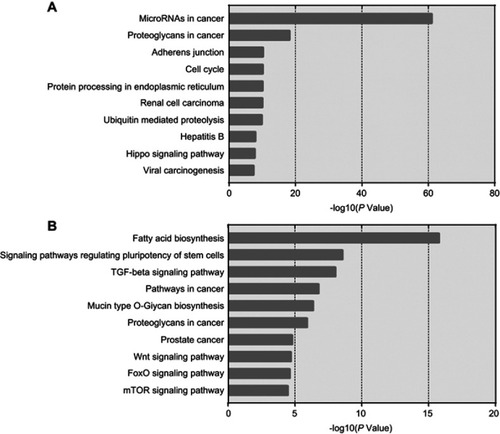 Figure 7 The top 10 most likely Kyoto Encyclopedia of Genes and Genomes (KEGG) pathways.