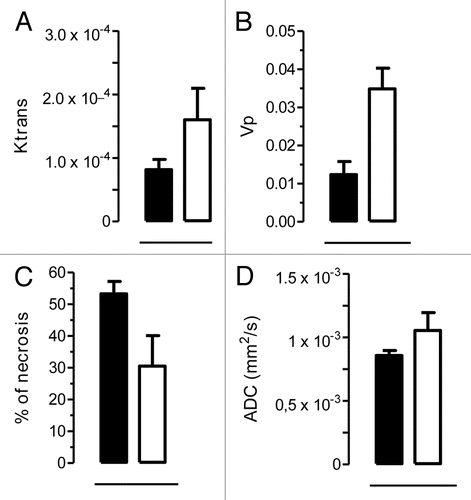 Figure 7. C3 deficiency increases permeability/perfusion and water diffusion in neuT tumors. (A–C) MRI evaluation of tumor permeability/perfusion, % of necrosis and water diffusion in mammary tumors from neuT (n = 2; black bars) and neuT-C3−/− (n = 2; white bars) mice. Tumor permeability (Ktrans) (A) and plasmatic volume (Vp) (B) were estimated from DCE-MRI data. The percentage of necrotic tissue was calculated as tumor regions showing contrast enhancement lower than 1.5-fold increase in comparison to pre-injection images (C). Molecular water diffusion (ADC) values were calculated from DWI images in tumor regions (D). Data are expressed as means ± SD.