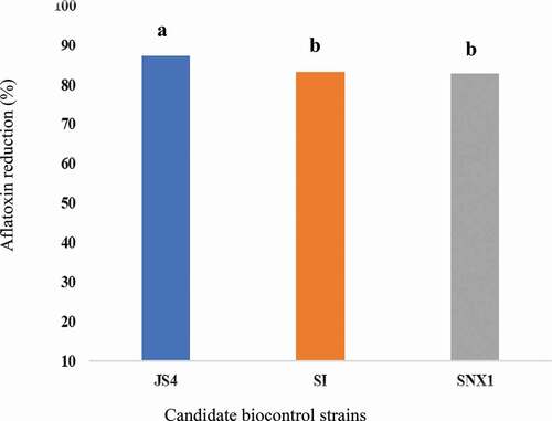 Figure 3. Aflatoxin reduction in peanut kernels harvested.