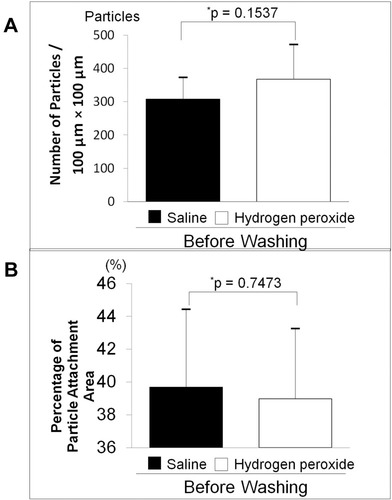 Figure 2 Comparison of pollen particles adhered to soft contact lenses (SCL) after scrubbing with physiological saline and hydrogen peroxide. (A) Number of pollen particles attached per single area (100 µm × 100 µm) in the central part of the SCL. (B) Percentage of adhesion area of pollen particles on the inner surface of the SCL (%). *P value: Independent sample t-test was used for comparison between the two groups. Values are expressed as mean ± standard deviation.