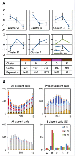 Figure 3. RB1-repressed genes are well expressed but downregulated late in development. (A) Charts show the mean Z-scores of genes in each of the major clusters in the control samples at 0 hours, 24 hours, and 48 hours. The chart at the lower right shows the Z-scores of the genes in bin 1 (clusters A, C, and D), in the control and RB1 deleted (KO) samples, at the same time points. Beneath the charts, the table shows the number of genes and relative median expression of all the genes in each cluster. (B) Bar graphs show the number of genes in each bin and cluster that satisfy the indicated condition. Present and absent calls are determined by Affymetrix software. The color schemes are consistent throughout. The bar graph at the lower right shows the percentage of genes in each cluster with 3 absent calls, at each time point.