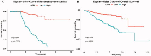 Figure 2. Kaplan–Meier curve for the RFS (a) and OS (b) of patients between low-risk and high-risk groups. RFS, recurrence-free survival; OS, overall survival.