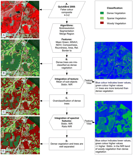 Figure 3. Workflow for the separation of vegetation elements.