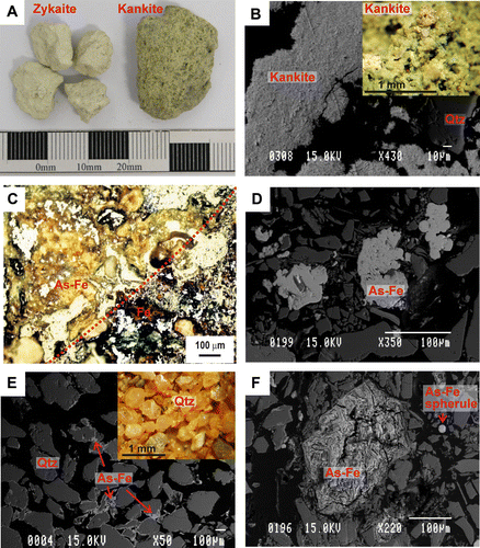 Fig. 5  Arsenic phases and their morphology. (A) Photograph of discrete centimetre-scale globular aggregations of zykaite (sample B1) and kankite (sample A3). (B) Backscatter electron (BSE) image of a kankite aggregate with an inset of a microscopic photograph of kankite (sample A3). (C) Reflected light microscopic image (plane polarised light) of a cemented portion of sample A6. Upper left half is cemented with pale green iron arsenate (As-Fe), and lower right is cemented with brown ferrihydrite (Fe) containing minor As. Boundary between two cement types is dashed. (D) BSE image of interstitial globular growth of As-rich Fe phases (sample C1). (E) BSE image of As-rich ferrihydrite coatings on quartz with an inset of microscopic photograph showing the typical orange colour of this As-bearing phase (sample C2). (F) BSE image of an arsenopyrite grain pseudomorphically replaced by iron arsenate (sample C1).