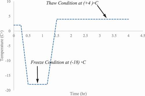 Figure 3. Procedure of rapid freezing-thawing cycles