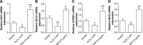 Figure 3 Exposure of HT29 cells to 5 μM arsenic trioxide for 48 hours significantly reduced Gli1, Gli2, CCND1, and Bcl2 mRNA expression.
