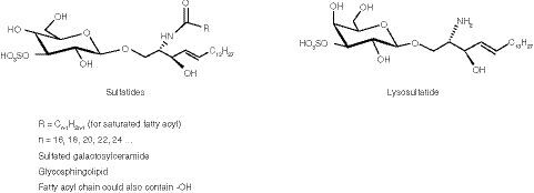Figure 1 Structures of sulfatides & lysosulfatide.