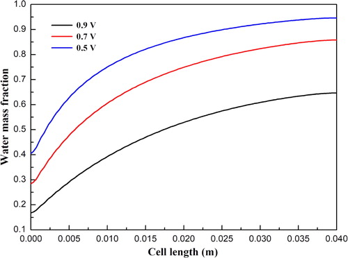 Figure 4. Water mass fraction distribution at the anode diffusion layer and functional layer interface under different operating voltages.