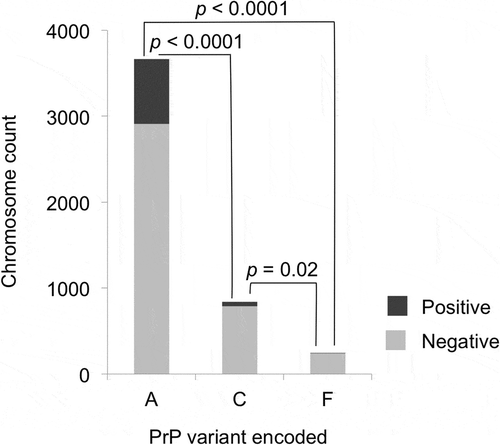 Figure 2. PrP variants and CWD susceptibility, for PrP variants A, C, and F. Only the samples collected after CWD spread to each county and that did not encode uncommon protein variants were used (n = 2376). Light shading indicates CWD negative and darker shading indicates CWD positive cases. PrP variant A was detected significantly more frequently than PrP variant C (OR = 0.26) or PrP variant F (OR = 0.10) in CWD positive deer than in CWD negative deer. PrP variant C showed a significantly smaller relative reduction than PrP variant F in CWD positive samples (OR = 0.37). For each protein variant, deer with one chromosome encoding the variant added one to the total shown, while deer with both chromosomes encoding a variant added two to the total; p-values are based on Fisher’s exact tests (two-tailed) and adjusted using the Benjamini-Hochberg procedure.