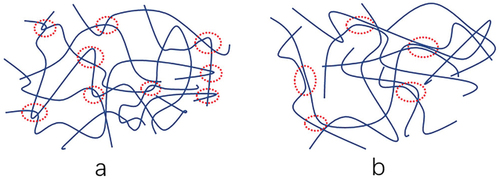 Figure 4. Structure of entanglement: (a) topological entanglement and (b) cohesion entanglement, reprinted with permission from [Citation27], copyright reserved Wiley 2021.
