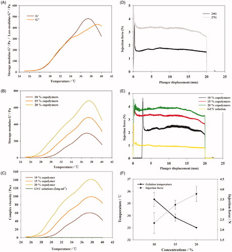 Figure 2. (A) Phase transition process of copolymer solutions (15%, w/w) characterized by the variance of storage modulus and loss modulus as a function of temperature. (B) Storage modulus of copolymer solutions at different concentration as a function of temperature. (C) Viscosity of copolymer solutions at different concentration as a function of temperature. (D) Required force to inject copolymer solution (15%, w/w) from 1 mL syringes equipped with 24 G × 20 mm, 27 G× 12.9 mm needles into air at the crosshead speed of 1 mm·s−1. (E) Required force to inject copolymer solutions at different concentration from 1 mL syringes equipped with 27 G × 12.9 mm needles into air at the crosshead speed of 1 mm·s−1. (F) Variation trend of gelation temperature and required force to inject copolymer solutions on different concentration of PBLA-PEG-PBLA solution.