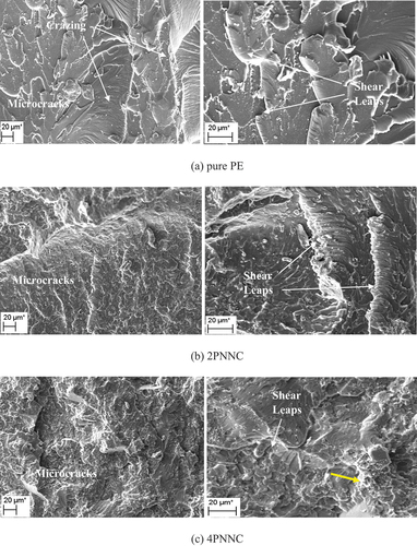 Figure 6. SEM images of fracture surface of water soaked specimens under tensile load (a) pure PE (b) 2PNNC (c) 4PNNC.