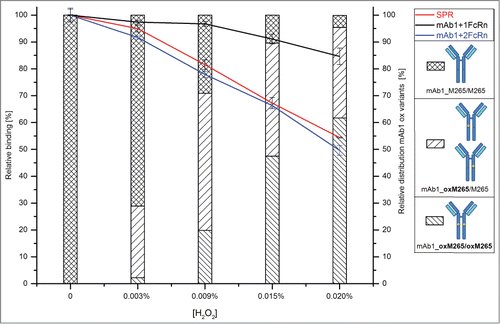 Figure 4. Relative variation in the mAb3/huFcRn receptor complex abundances due to stepwise oxidation of the heavy chain methionine 265 and comparison to the SPR and huFcRn affinity chromatography data. The estimated absolute abundance of mAb3/huFcRn receptor complexes with one or 2 FcRn molecules was set to 100%. A significant impact on relative binding capacity was only detected for mAb3 variants with both heavy chain methionine 265 oxidized.