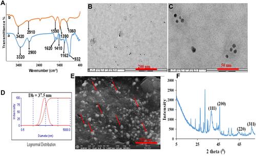 Figure 3 (A) FTIR of (a) SISE (b) SISE AgNPs (B) TEM (200 nm) (C) TEM (50 nm) (D) Hydrodynamic diameter from DLS (E) FESEM (F) XRD of SISE AgNPs.