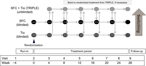 Figure 1 Study design.