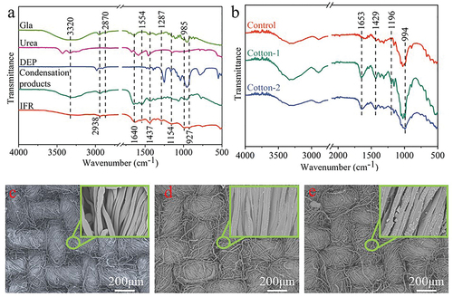 Figure 2. FTIR spectra of (a) chemical reagents and (b) uncoated cotton fabrics and the IFR-coated cotton fabrics, (c–e) SEM images of uncoated cotton and the IFR-coated cotton fabrics.