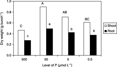 Figure 1  Dry matter weight of shoots and roots of barley plants grown in iron-deficient nutrient solutions with different levels of phosphorus (P) at 14 days after treatment. Different letters at the top of each bar indicate significant differences (P < 0.05) according to the Ryan–Einot–Gabriel–Welsch Mutiple Range Test.
