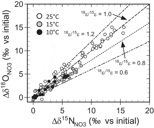 Figure 4. Relationships between Δδ15NNO3 and Δδ 18ONO3 at different ambient temperatures in the column experiments. Δδ15NNO3 and Δδ18ONO3 are, respectively, the changes in δ15NNO3 and δ18O NO3 from their initial values in the solution fed to the columns. The broken and dotted lines represent the relationships expected for enrichment factor ratio 18ε/15ε of 0.6, 0.8, 1.0, and 1.2.